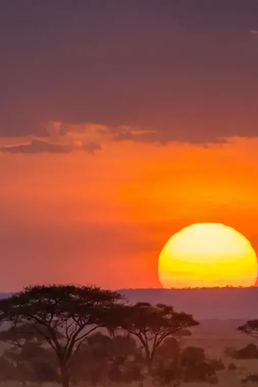 Sub-Saharan Africa